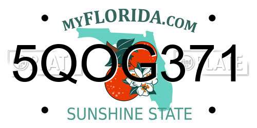5QOG371 Florida License Plate