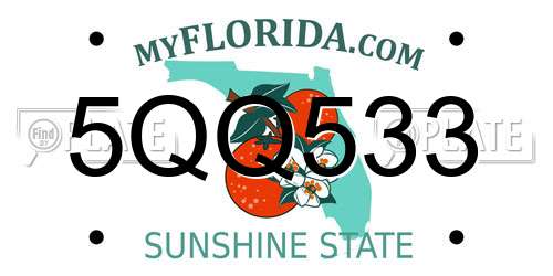 5QQ533 Florida License Plate