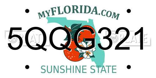 5QQG321 Florida License Plate