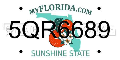 5QR6689 Florida License Plate