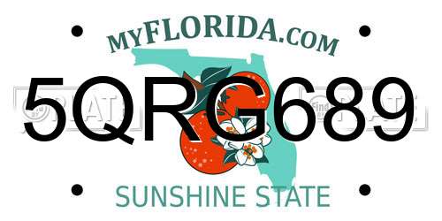 5QRG689 Florida License Plate