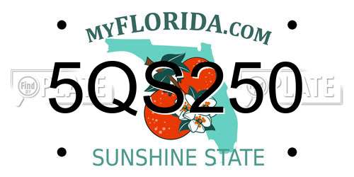 5QS250 Florida License Plate