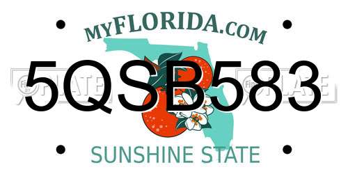 5QSB583 Florida License Plate