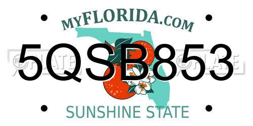 5QSB853 Florida License Plate