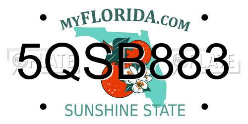 5QSB883 Florida License Plate