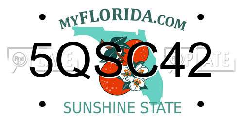 5QSC42 Florida License Plate