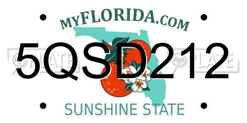5QSD212 Florida License Plate