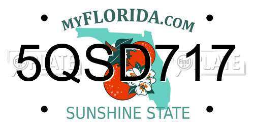 5QSD717 Florida License Plate