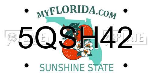 5QSH42 Florida License Plate
