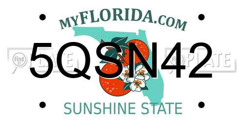 5QSN42 Florida License Plate