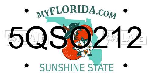 5QSO212 Florida License Plate