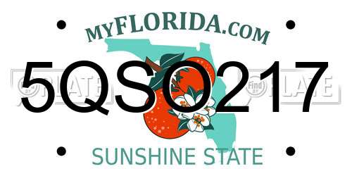 5QSO217 Florida License Plate