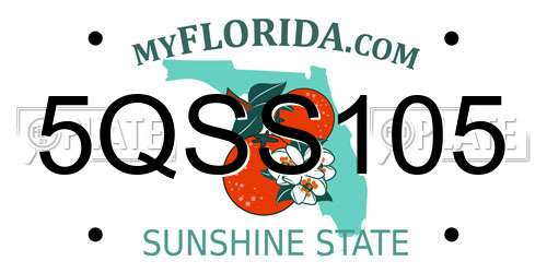 5QSS105 Florida License Plate