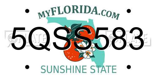 5QSS583 Florida License Plate