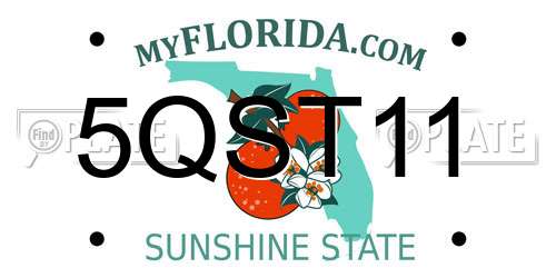 5QST11 Florida License Plate