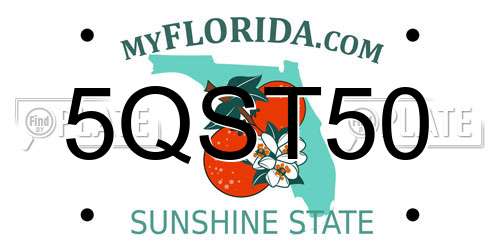 5QST50 Florida License Plate