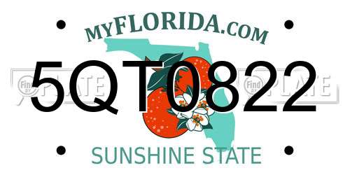 5QT0822 Florida License Plate