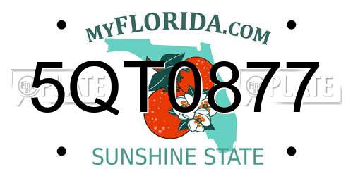 5QT0877 Florida License Plate