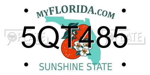 5QT485 Florida License Plate