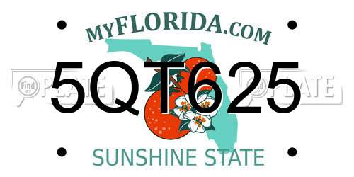 5QT625 Florida License Plate