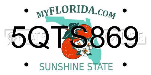 5QTS869 Florida License Plate