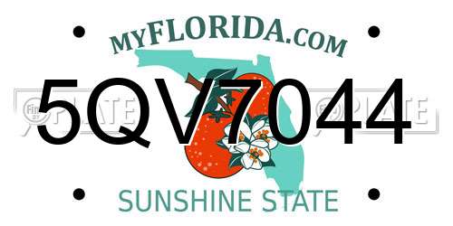 5QV7044 Florida License Plate