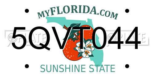 5QVT044 Florida License Plate