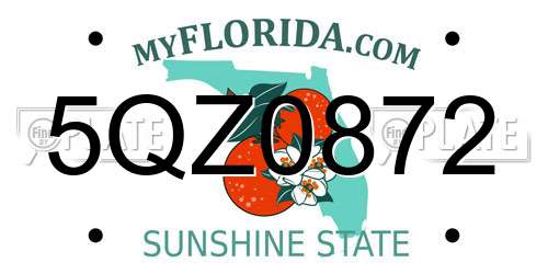 5QZ0872 Florida License Plate