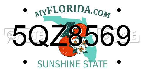 5QZ8569 Florida License Plate