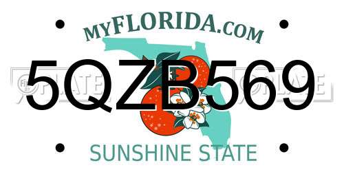 5QZB569 Florida License Plate