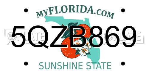 5QZB869 Florida License Plate
