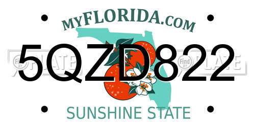 5QZD822 Florida License Plate