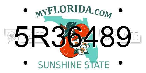5R36489 Florida License Plate