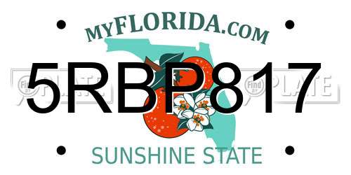 5RBP817 Florida License Plate