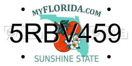 5RBV459 Florida License Plate