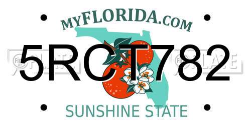 5RCT782 Florida License Plate