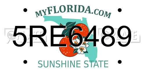 5RE6489 Florida License Plate