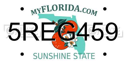 5REG459 Florida License Plate