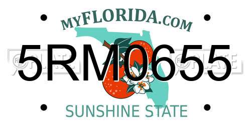 5RM0655 Florida License Plate