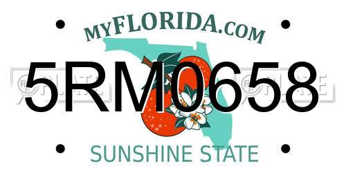 5RM0658 Florida License Plate