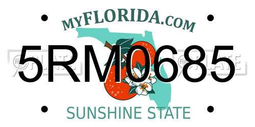 5RM0685 Florida License Plate