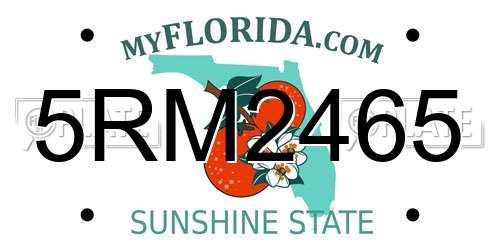 5RM2465 Florida License Plate