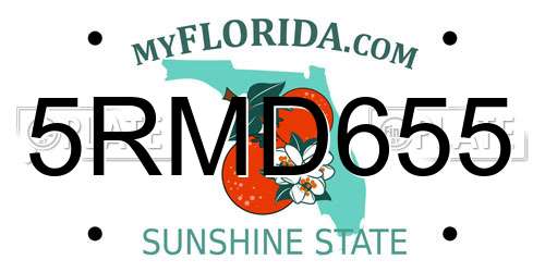 5RMD655 Florida License Plate