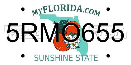 5RMO655 Florida License Plate