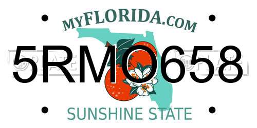 5RMO658 Florida License Plate