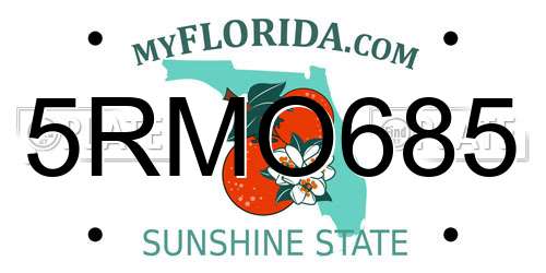 5RMO685 Florida License Plate