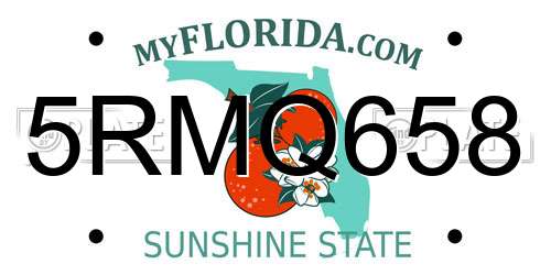 5RMQ658 Florida License Plate
