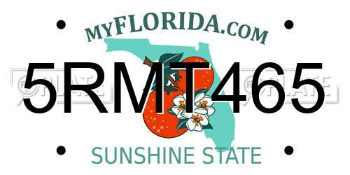5RMT465 Florida License Plate