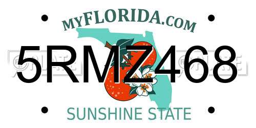 5RMZ468 Florida License Plate