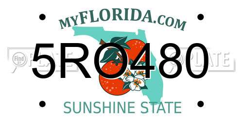 5RO480 Florida License Plate